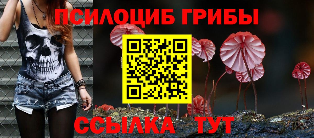 Галлюциногенные грибы Psilocybine cubensis Янаул